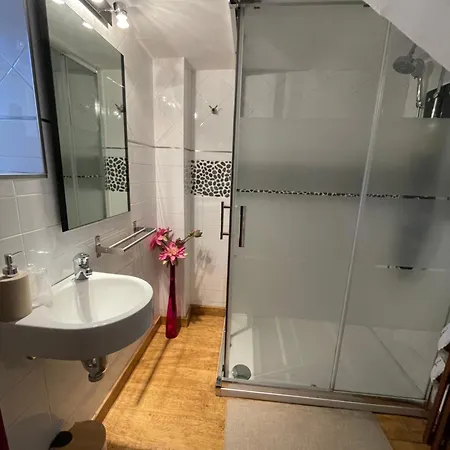 ゲストハウス El Callejon De Andrese ロアレ